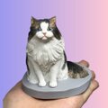 【受注作製】ペットギフト うちの子 オウム 鳥 写真入り 人形 フィギュア、名入れ 似顔絵❤ペットロス、誕生日、記念日のコピー