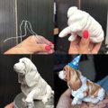 【受注作製】ペットギフト うちの子 オウム 鳥 写真入り 人形 フィギュア、名入れ 似顔絵❤ペットロス、誕生日、記念日のコピー
