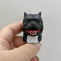 【受注作製】ペットギフト うちの子 オウム 鳥 写真入り 人形 フィギュア、名入れ 似顔絵❤ペットロス、誕生日、記念日のコピー