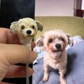 【受注作製】ペットギフト うちの子 オウム 鳥 写真入り 人形 フィギュア、名入れ 似顔絵❤ペットロス、誕生日、記念日のコピー