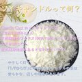 【ティーライトキャンドル】ムスク＆ローズウッド【アロマキャンドル】
