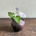 耳付き小壺の一輪挿し｜焼締｜信楽焼｜ミニ花入 | iichi 日々の暮らし