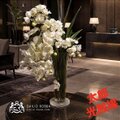 光触媒　観葉植物　ウォールグリーン　フェイクグリーン　エミリオロバ　マグノリアＭ 光触媒 人工観葉植物 ウォールグリーン フェイクグリーン エミリオロバ