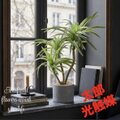 光触媒 人工観葉植物 ウォールグリーン フェイクグリーン ユッカ