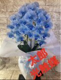 光触媒　人工観葉植物　ウォールグリーン　フェイク　アレンジ　リアル胡蝶蘭ブルー 光触媒 人工観葉植物 ウォールグリーン フェイクグリーン リアル胡蝶蘭