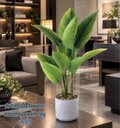 光触媒 人工観葉植物 ウォールグリーン フェイクグリーン オーガスタ