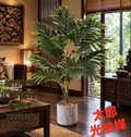 光触媒　人工観葉植物　ウォールグリーン　フェイクグリーン　パームヤシ70 光触媒 人工観葉植物 ウォールグリーン フェイクグリーン ヤシポット70
