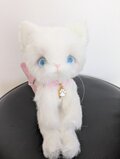 ハンドメイド☆ぬいぐるみ☆白猫ちゃん☆ | iichi 日々の暮らしを