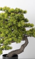 光触媒 人工観葉植物 ウォールグリーン フェイクグリーン 盆栽6470