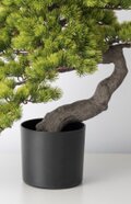 光触媒 人工観葉植物 ウォールグリーン フェイクグリーン 盆栽6470