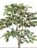 光触媒 人工観葉植物 ウォールグリーン フェイクグリーン ベンジャミン