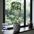 光触媒 人工観葉植物 ウォールグリーン フェイクグリーン ガジュマル42