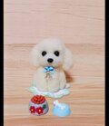 羊毛フェルト 白いトイプードル ミニチュア 餌・ホネ・シート付