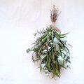 魔女の棲む森 ～Jazz ＆ botanical～ dried-botanical autumn swag