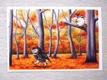 リスとフクロウと黒猫のポストカード。の画像