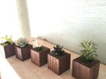 更に小さな植木鉢 茶 5個セットの画像