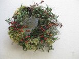 野バラの実のwreath