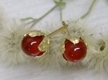 『ピエリスの抱擁』カーネリアン*925/K18gpピアス