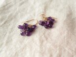 送料無料 K14GF アメジストのふさふさピアス