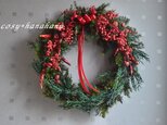 赤い実のクリスマスwreathの画像