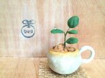 1085.bud 粘土の鉢植え マグカップ