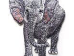 アップリケワッペン リアル エレファント ぞう w-0816 象 動物　アニマルの画像