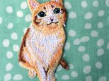 アップリケワッペン -キャット おねだり猫　901の画像