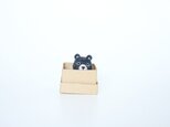 <約3㎝シリーズ>月の輪くまの画像