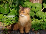 羊毛フェルトの猫人形（ソマリ）の画像