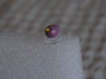 小鳥さんのイヤホンジャック/紫の画像