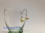 本真珠　ピアス
