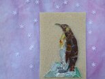 Seaglass Walldecoration「オウサマペンギン」の画像