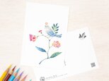 5枚セット。絵本のような。ポストカード "水色の小鳥と草花" PC-113の画像