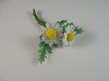 手染めの布花 マーガレット・木春菊（モクシュンギク）のコサージュ （親子で使えるコサージュ）の画像