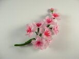 手染めの布花 さくら(桜)のコサージュの画像