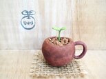 1205.bud 粘土の鉢植え マグカップ