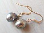 K14GF tahitian pearl simple pierceの画像