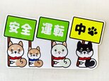 柴犬マグネットステッカー 安全運転中マグネットステッカーの画像
