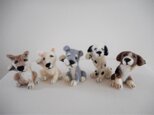 特別価格 招き犬　紀州犬の画像