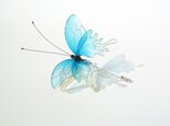 蝶ハットピン－Blue butterfly－の画像