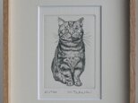 前向きな猫 / 銅版画 (額あり）の画像