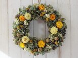 黄色い貝細工の春色リース