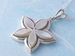 桔梗/シルバーペンダント/sv925/40cmAJチェーン/貝