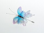 蝶ハットピン－Iridescent butterfly－の画像