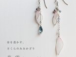 【春季限定】さくらのみみかざり 春雪【セット販売】の画像