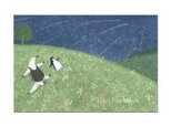 選べるポストカード（４枚）NO.23「流星群」の画像