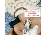 おむつ替え楽チン＊おしっこキャップ2個setの画像