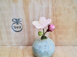 1245.bud 粘土の鉢植え サクラ