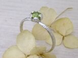 『ピエリスの抱擁』ペリドット＊925ring