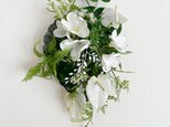 Plumeria Green hanging IV